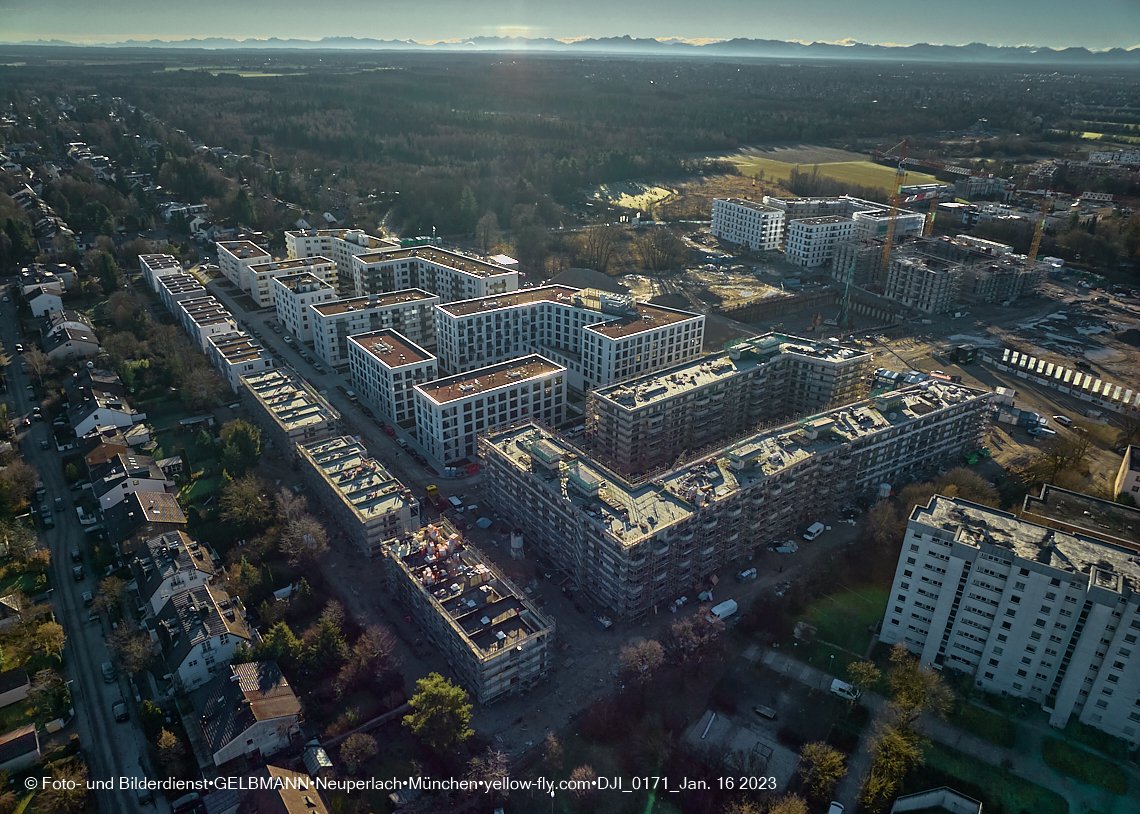 16.01.2023 - Alexisquartier und Pandion Verde